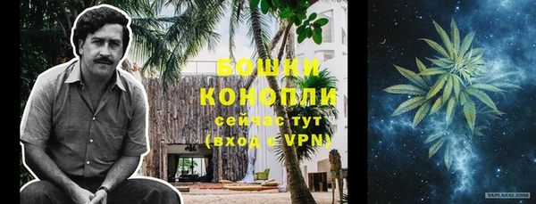 дживик Ладушкин