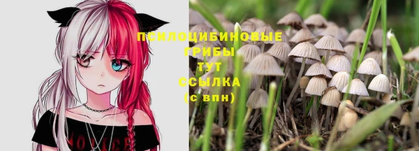 прущая мука Алексеевка