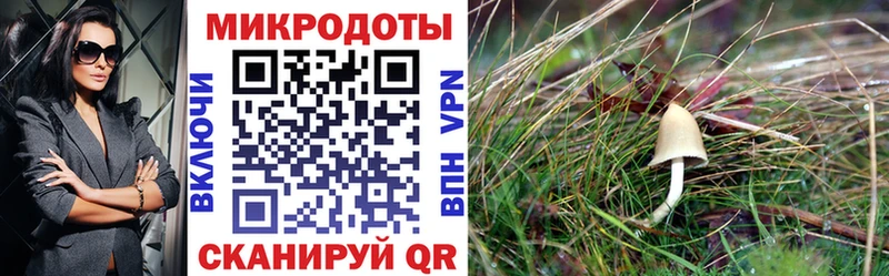 Псилоцибиновые грибы ЛСД  наркошоп  Алейск 